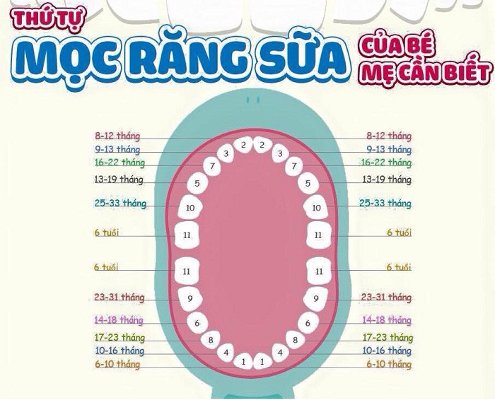 Thứ tự mọc răng sữa ở trẻ